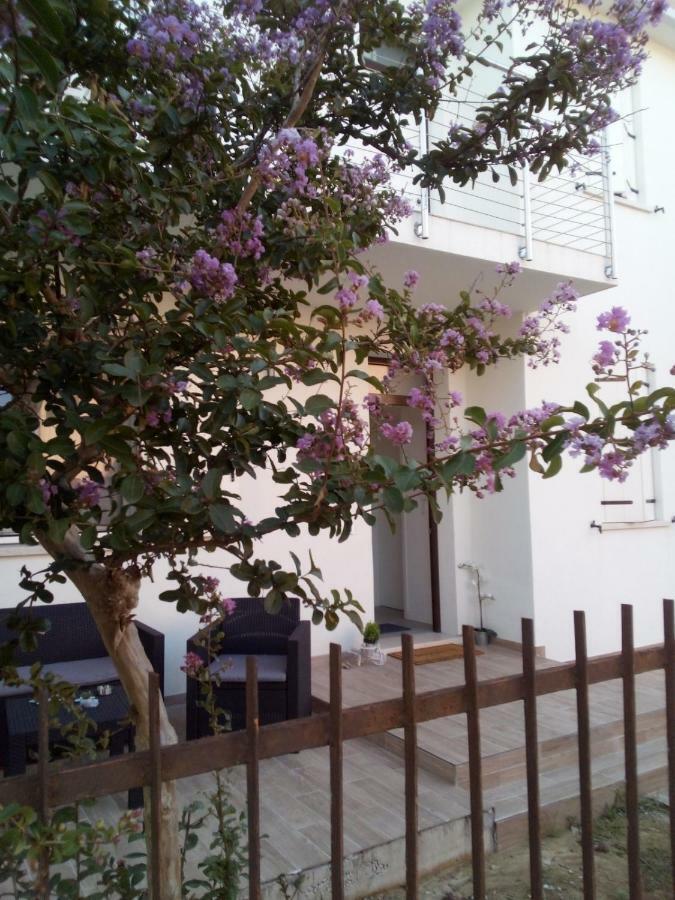 The Judas Trees Mestre Eksteriør billede