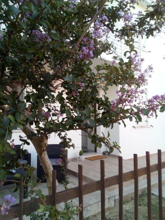 The Judas Trees Mestre Eksteriør billede